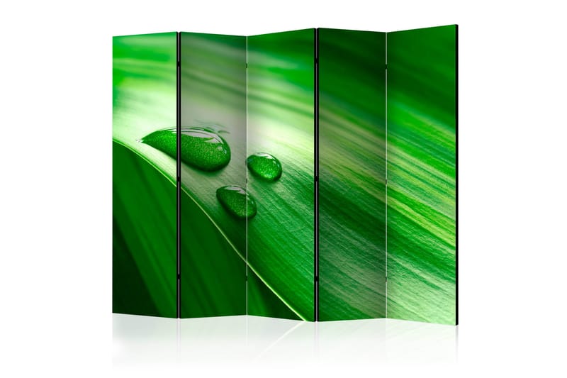Rumsavdelare - Leaf and three drops of water II 225x172 - Artgeist sp. z o. o. - Inredning - Rumsavdelare - Vikskärm