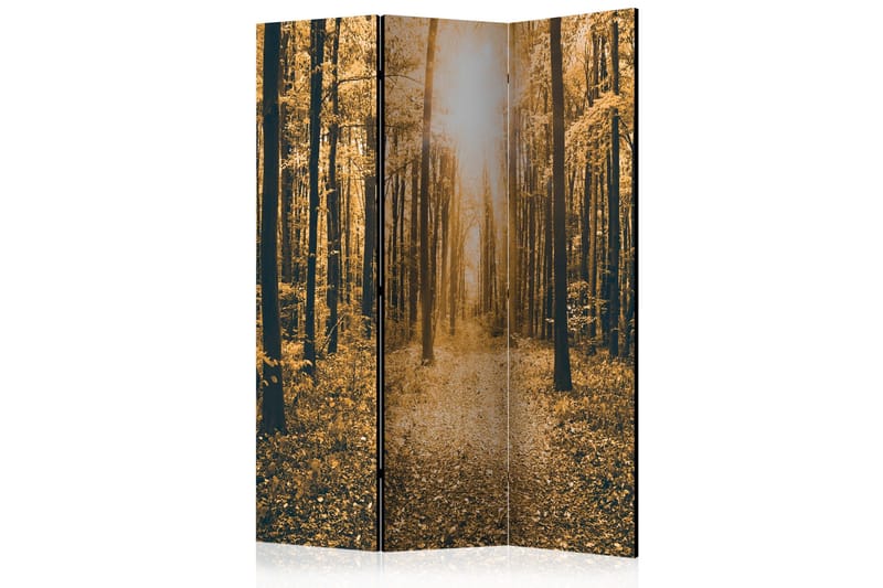 Rumsavdelare - Magical Light 135x172, Artgeist sp. z o. o.