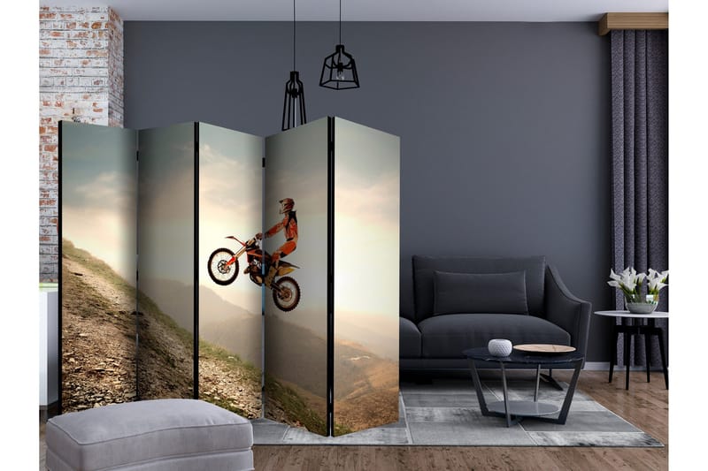 Rumsavdelare - Motor sport II 225x172 - Artgeist sp. z o. o. - Inredning - Rumsavdelare - Vikskärm