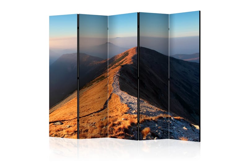 Rumsavdelare - Mountain footpath, Tatras II 225x172 - Artgeist sp. z o. o. - Inredning - Rumsavdelare - Vikskärm
