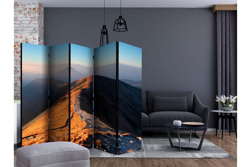 Rumsavdelare - Mountain footpath, Tatras II 225x172 - Artgeist sp. z o. o. - Inredning - Rumsavdelare - Vikskärm