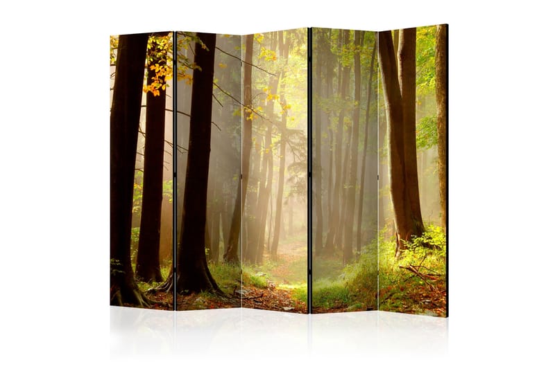 Rumsavdelare - Mysterious forest path II 225x172 - Artgeist sp. z o. o. - Inredning - Rumsavdelare - Vikskärm