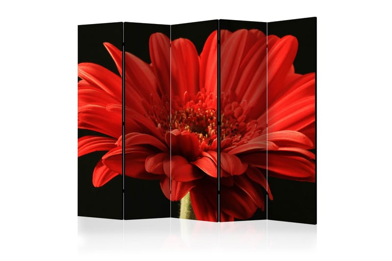 Rumsavdelare - Red gerbera flower II 225x172 - Artgeist sp. z o. o. - Inredning - Rumsavdelare - Vikskärm