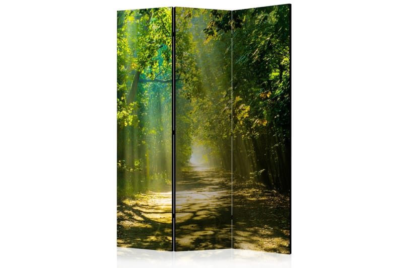 Rumsavdelare Road In Sunlight 135x172, Artgeist sp. z o. o.