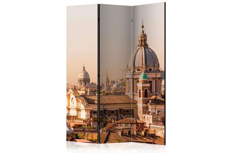 Rumsavdelare - Rome - bird's eye view 135x172, Artgeist sp. z o. o.