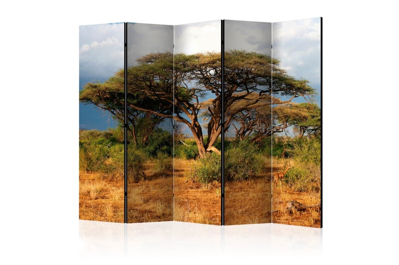 Rumsavdelare - Samburu National Reserve, Kenya II 225x172 - Artgeist sp. z o. o. - Inredning - Rumsavdelare - Vikskärm