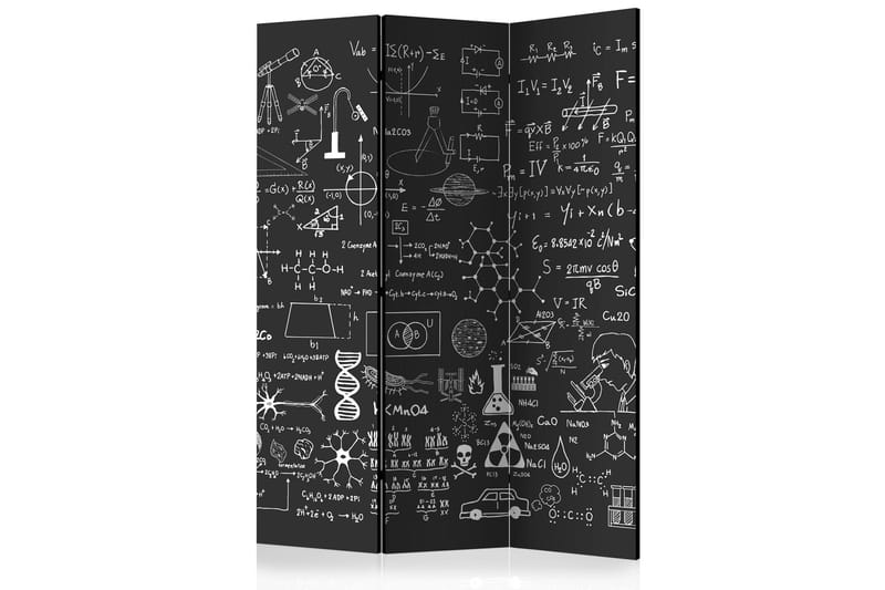 Rumsavdelare - Science on Chalkboard 135x172 - Artgeist sp. z o. o. - Vikskärm - Rumsavdelare