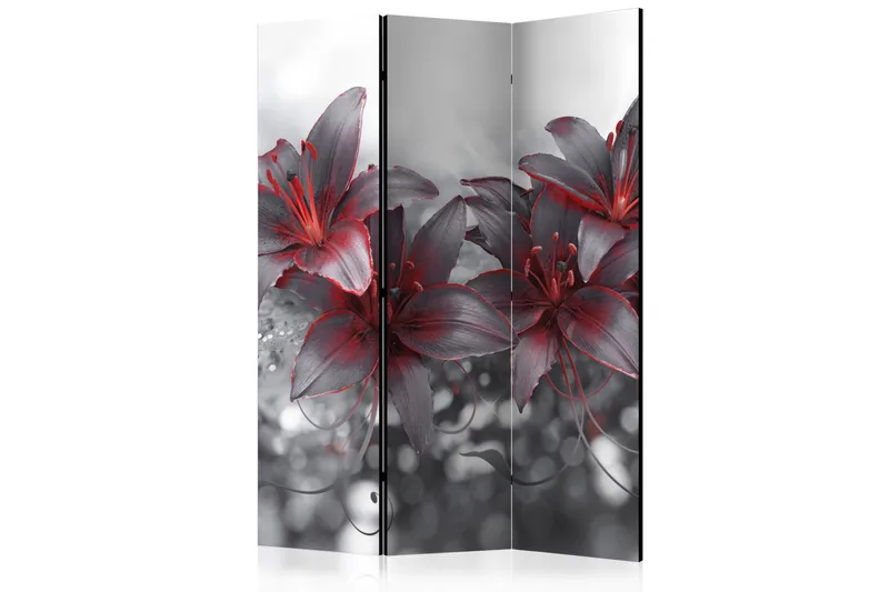 Rumsavdelare Shadow Of Passion 135x172, Artgeist sp. z o. o.