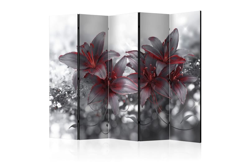 Rumsavdelare Shadow Of Passion 225x172, Artgeist sp. z o. o.