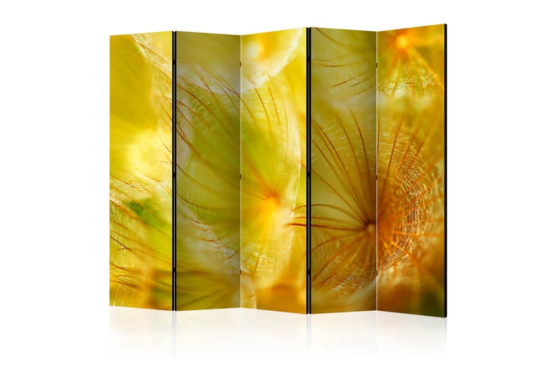 Rumsavdelare - Soft dandelion flower II 225x172 - Artgeist sp. z o. o. - Inredning - Rumsavdelare - Vikskärm