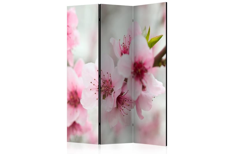 Rumsavdelare - Spring, blooming tree flowers 135x172 - Artgeist sp. z o. o. - Inredning - Rumsavdelare - Vikskärm