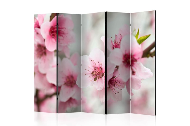 Rumsavdelare - Spring, blooming tree flowers II 225x172 - Artgeist sp. z o. o. - Inredning - Rumsavdelare - Vikskärm