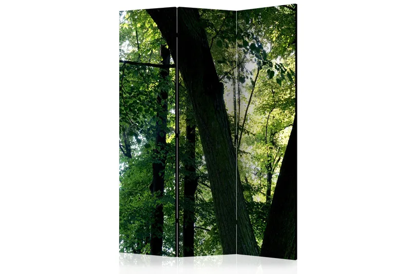 Rumsavdelare - Spring in the Park 135x172, Artgeist sp. z o. o.