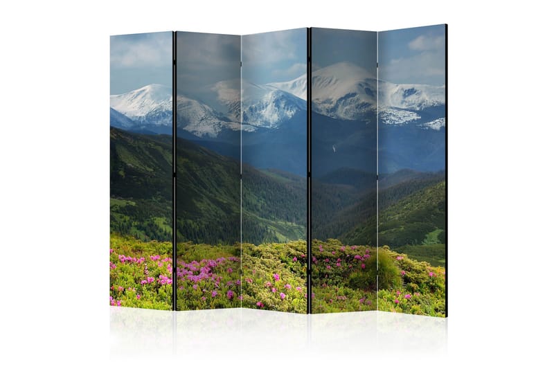 Rumsavdelare - Spring mountain landscape II 225x172 - Artgeist sp. z o. o. - Inredning - Rumsavdelare - Vikskärm