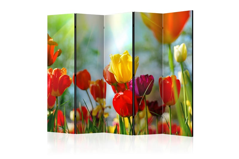 Rumsavdelare Spring Tulips II 225x172 cm - Artgeist sp. z o. o. - Vikskärm - Rumsavdelare