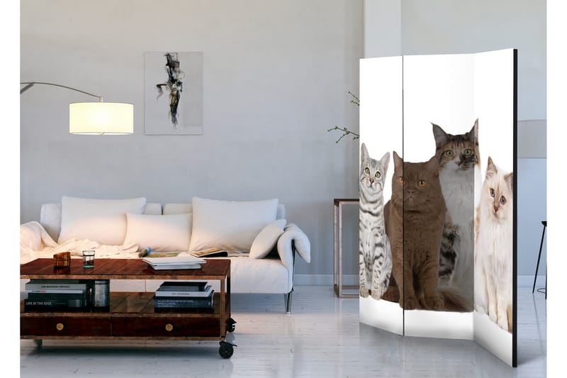 Rumsavdelare Sweet Cats 135x172 - Artgeist sp. z o. o. - Inredning - Rumsavdelare - Vikskärm