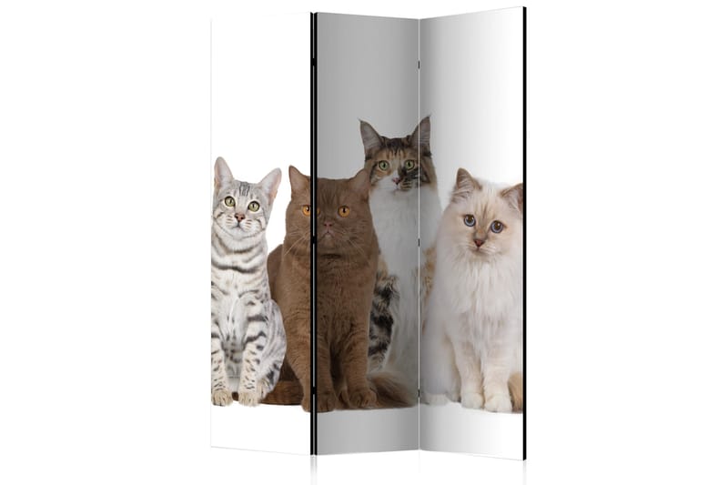 Rumsavdelare Sweet Cats 135x172 - Artgeist sp. z o. o. - Inredning - Rumsavdelare - Vikskärm