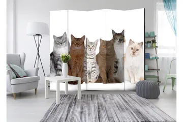 Rumsavdelare Sweet Cats 225x172 - Artgeist sp. z o. o. - Inredning - Rumsavdelare - Vikskärm