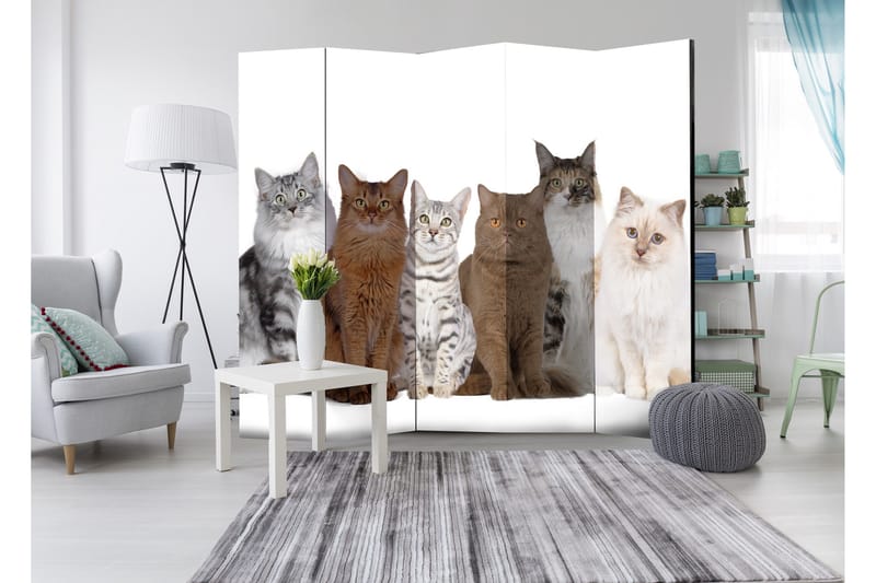 Rumsavdelare Sweet Cats 225x172 - Artgeist sp. z o. o. - Inredning - Rumsavdelare - Vikskärm