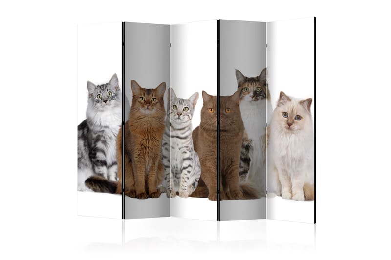 Rumsavdelare Sweet Cats 225x172 - Artgeist sp. z o. o. - Inredning - Rumsavdelare - Vikskärm