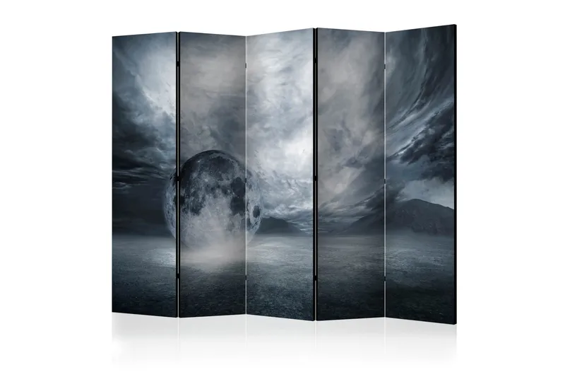 Rumsavdelare The Lost Planet II 225x172 cm, Artgeist sp. z o. o.