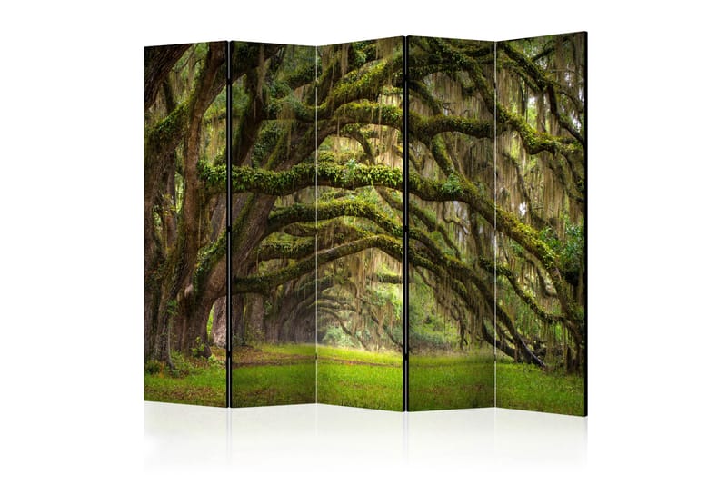 Rumsavdelare - Tree embrace II 225x172 - Artgeist sp. z o. o. - Inredning - Rumsavdelare - Vikskärm