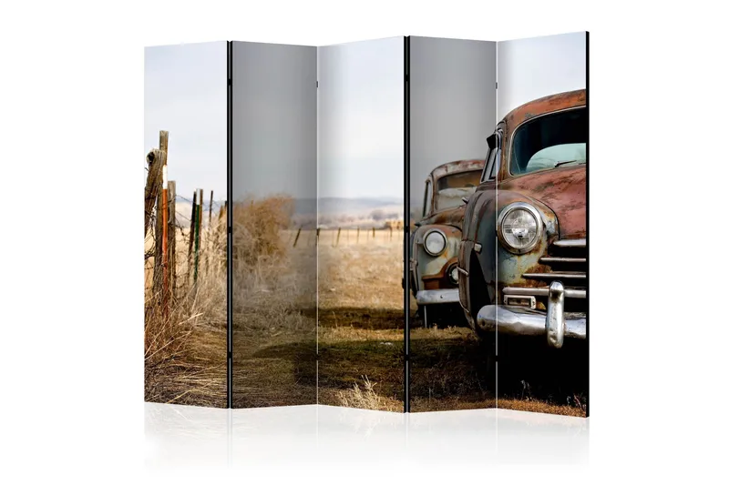 Rumsavdelare - Two old, American cars II 225x172, Artgeist sp. z o. o.