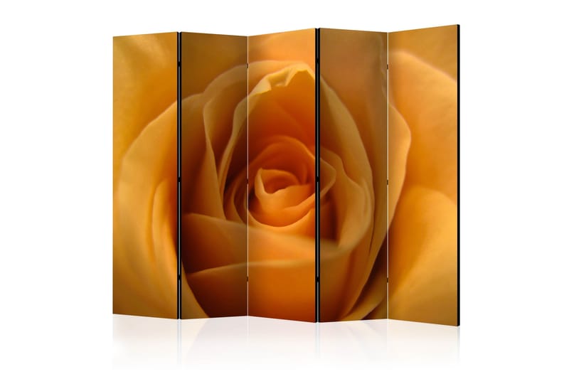 Rumsavdelare - Yellow rose – symbol friendship 225x172, Artgeist sp. z o. o.