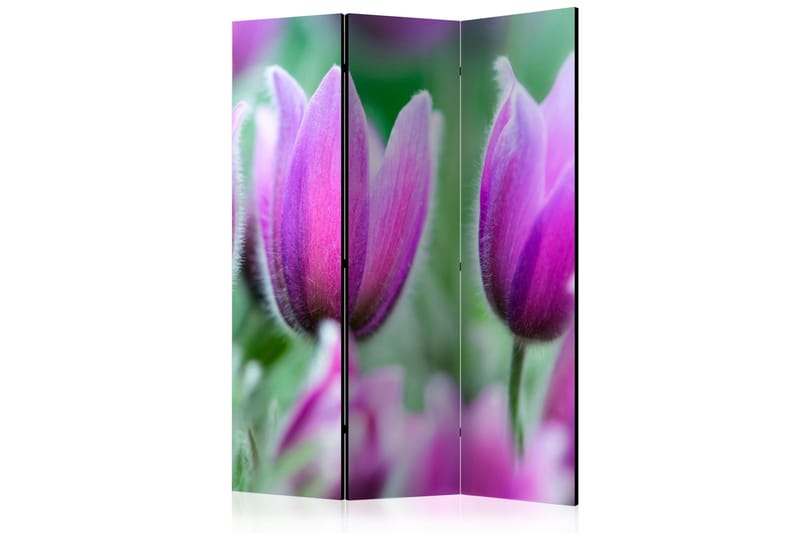 Rumsavdelare Purple Spring Tulips 135x172 cm - Artgeist sp. z o. o. - Inredning - Rumsavdelare - Vikskärm
