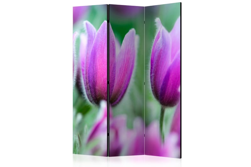 Rumsavdelare Purple Spring Tulips 135x172 cm - Artgeist sp. z o. o. - Vikskärm - Rumsavdelare