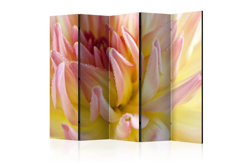 Rumsavdelare - Pastel colored dahlia flower 225x172 - Artgeist sp. z o. o. - Inredning - Rumsavdelare - Vikskärm
