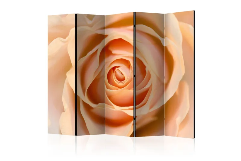 Rumsavdelare - Peach-colored rose II 225x172, Artgeist sp. z o. o.