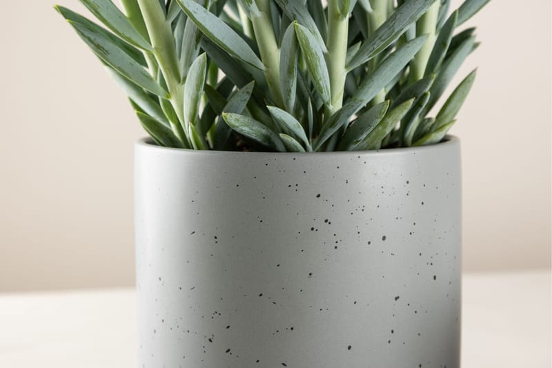 Sane Kruka - Mörkgrå - Inredning - Kruka & ytterkruka