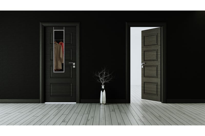 Ria Spegel 30x120 cm Silver - Silver - Inredning - Speglar - Dörrspegel