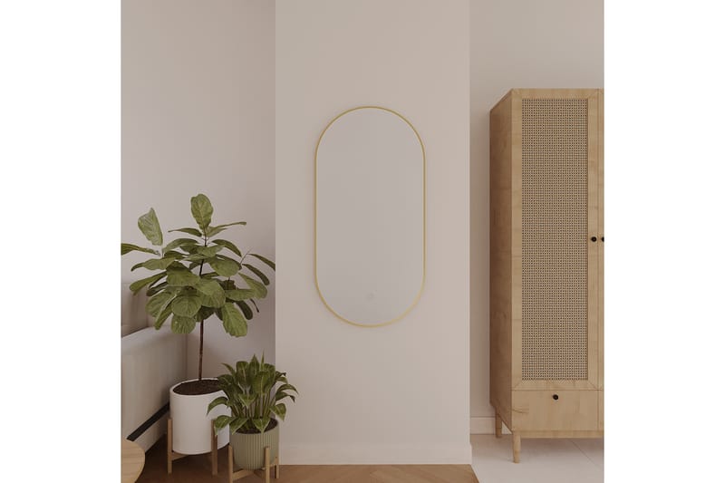 Micedi Vägghängd Spegel 50x100 cm - Guld - Inredning - Speglar - Väggspegel