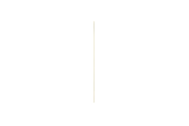 Josephine Spegel 30x70 cm Guld - Guld - Inredning - Speglar - Väggspegel
