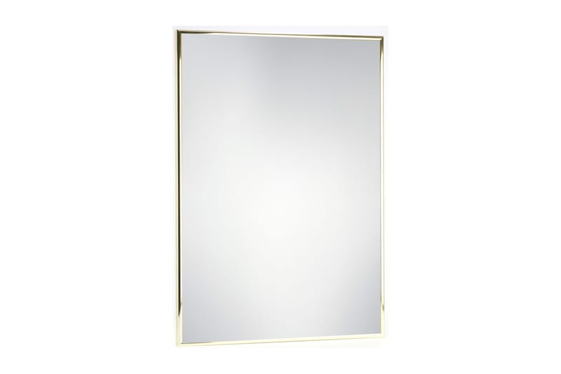 Slim Spegel 40x80 cm - Guld/Aluminium - Väggspegel - Hallspegel
