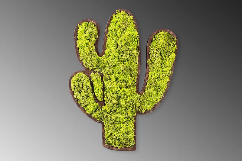 Cactus Canvastavla - Grön/Vit - Inredning - Tavlor & konst - Canvastavlor
