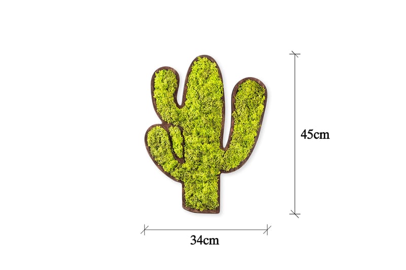 Cactus Canvastavla - Grön/Vit - Inredning - Tavlor & konst - Canvastavlor