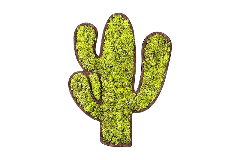 Cactus Canvastavla - Grön/Vit - Inredning - Tavlor & konst - Canvastavlor