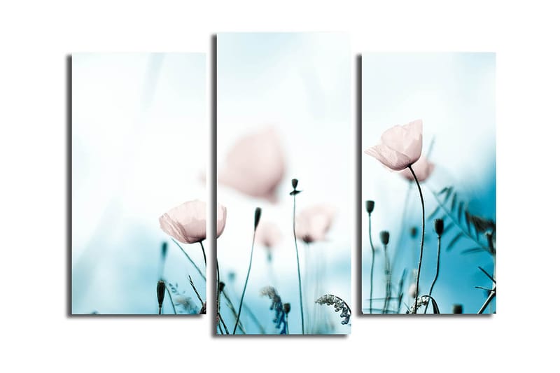 Canvastavla 3-pack Flerfärgad - 20x39 cm - Inredning - Tavlor & konst - Canvastavlor