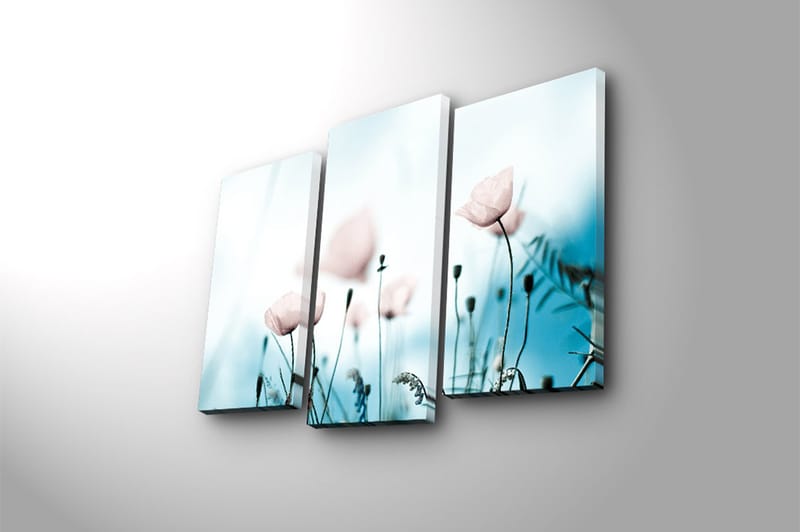 Canvastavla 3-pack Flerfärgad - 20x39 cm - Inredning - Tavlor & konst - Canvastavlor