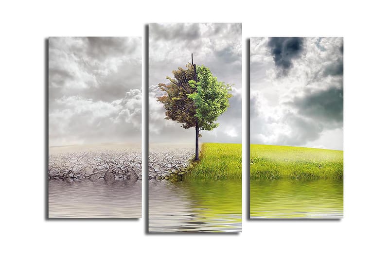 Canvastavla 3-pack Flerfärgad - 20x39 cm - Inredning - Tavlor & konst - Canvastavlor