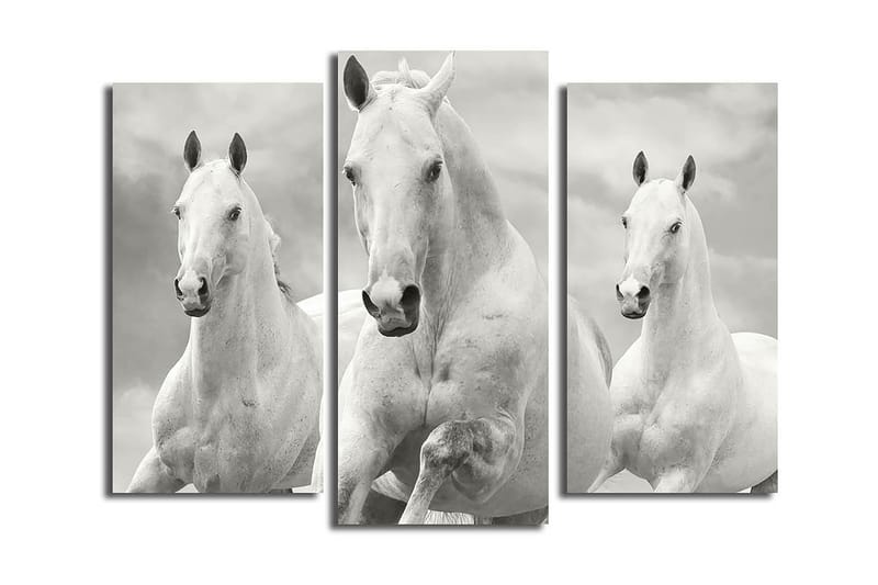 Canvastavla 3-pack Flerfärgad - 20x39 cm - Inredning - Tavlor & konst - Canvastavlor