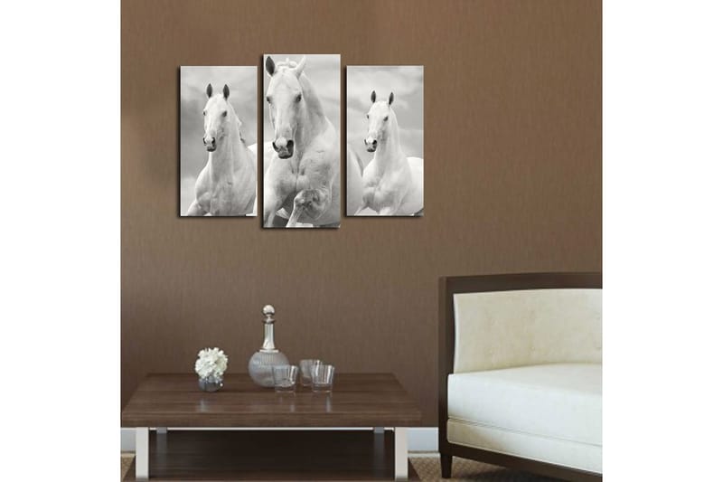 Canvastavla 3-pack Flerfärgad - 20x39 cm - Inredning - Tavlor & konst - Canvastavlor