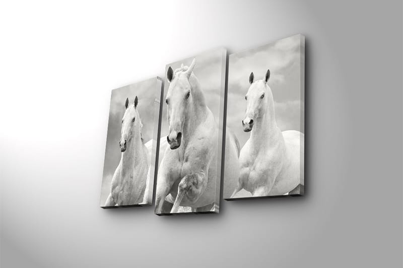 Canvastavla 3-pack Flerfärgad - 20x39 cm - Canvastavlor