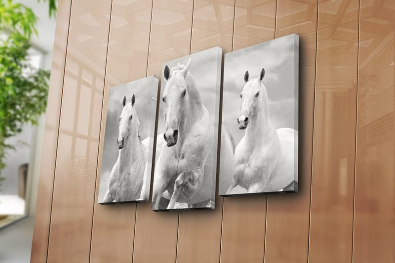 Canvastavla 3-pack Flerfärgad - 20x39 cm - Inredning - Tavlor & konst - Canvastavlor