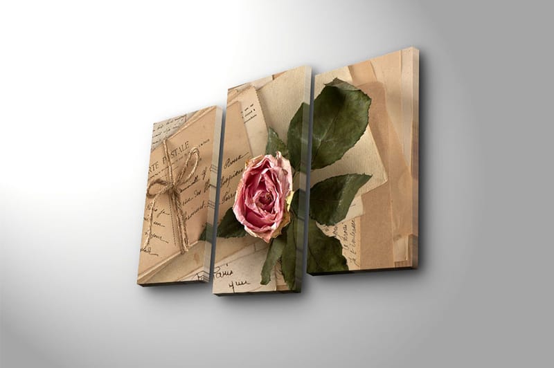 Canvastavla 3-pack Flerfärgad - 20x39 cm - Inredning - Tavlor & konst - Canvastavlor