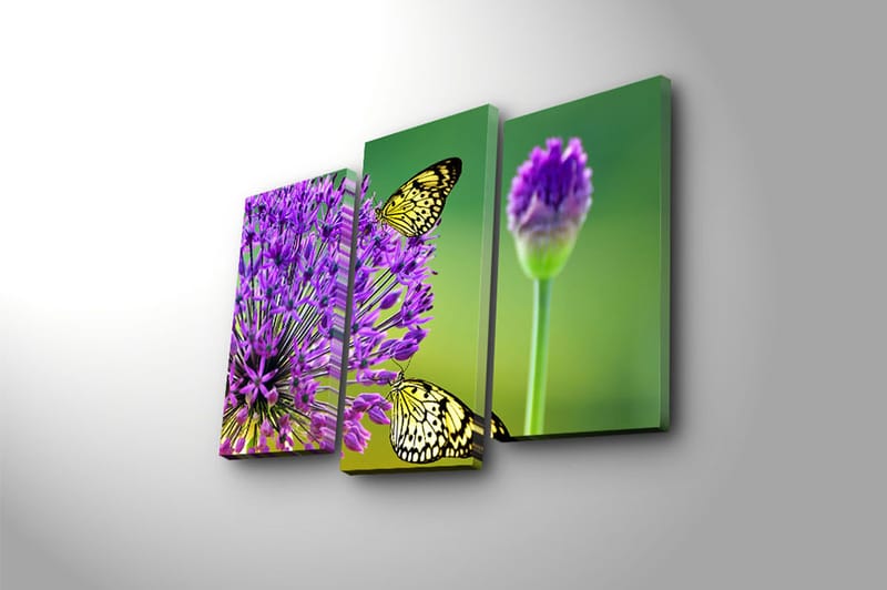 Canvastavla 3-pack Flerfärgad - 20x39 cm - Inredning - Tavlor & konst - Canvastavlor
