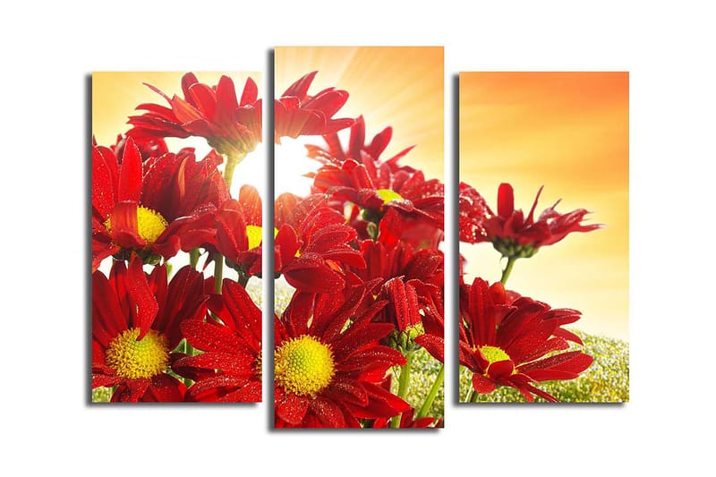 Canvastavla 3-pack Flerfärgad - 20x39 cm - Inredning - Tavlor & konst - Canvastavlor